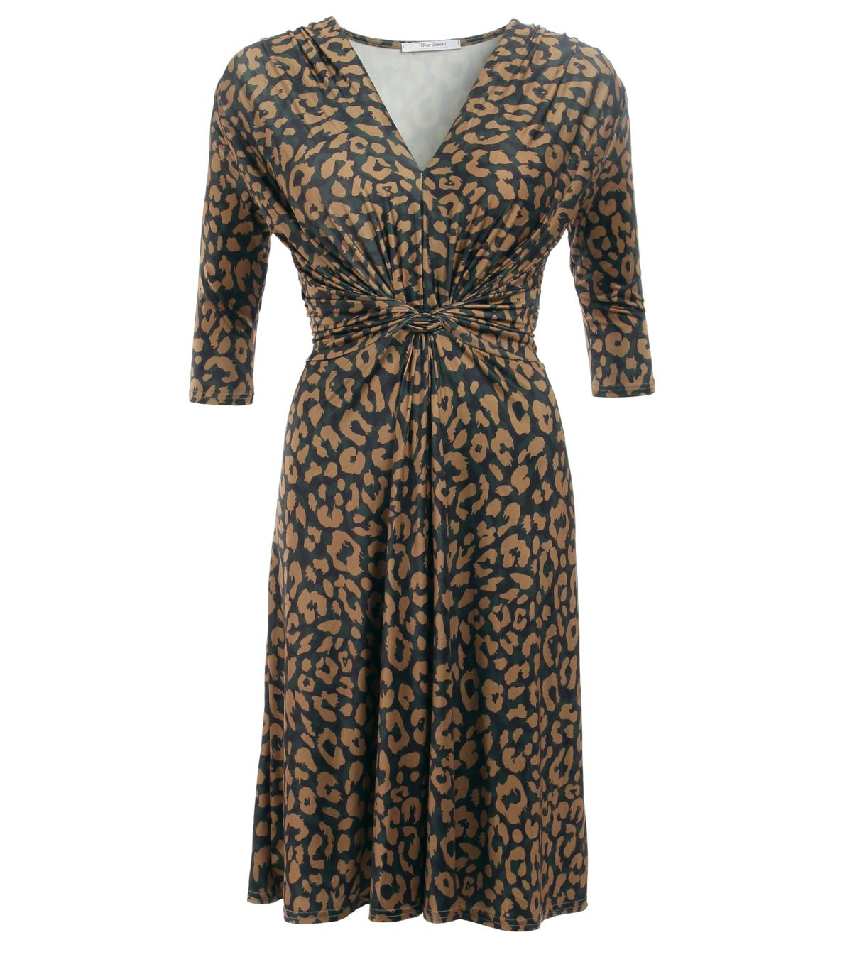 Animal Print Twist Front V Neck Dress