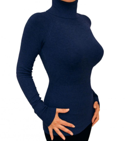 Navy Blue Polo Neck Clingy Jumper