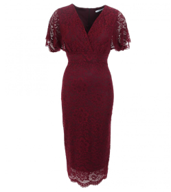 Wine Flutter Sleeve Lace Pencil Dress