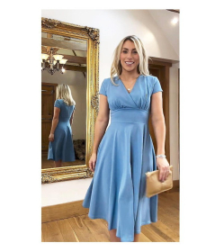 Cornflower Blue Fit and Flare Dress