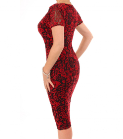 Red Burnout Velour Dress