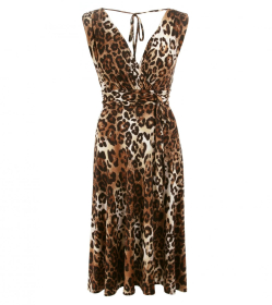 Animal Print Fit and Flare Dress