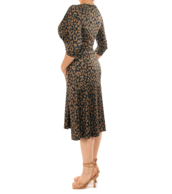 Animal Print Twist Front V Neck Dress