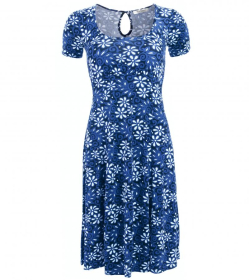 Blue Floral Print Tea Dress