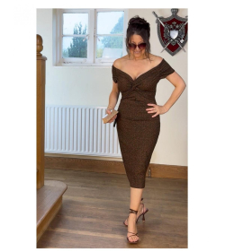 Bronze Sparkle Bardot Dress