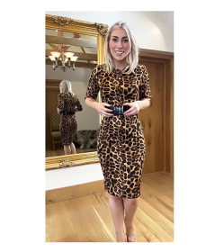 Animal Print Belted Pencil Dress
