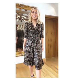 Animal Print Twist Front V Neck Dress