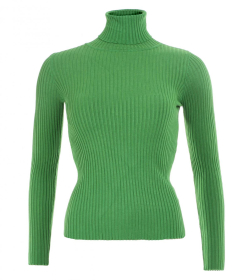 Green Ribbed Polo Neck Clingy Jumper