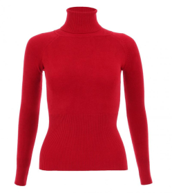 Red Polo Neck Clingy Jumper